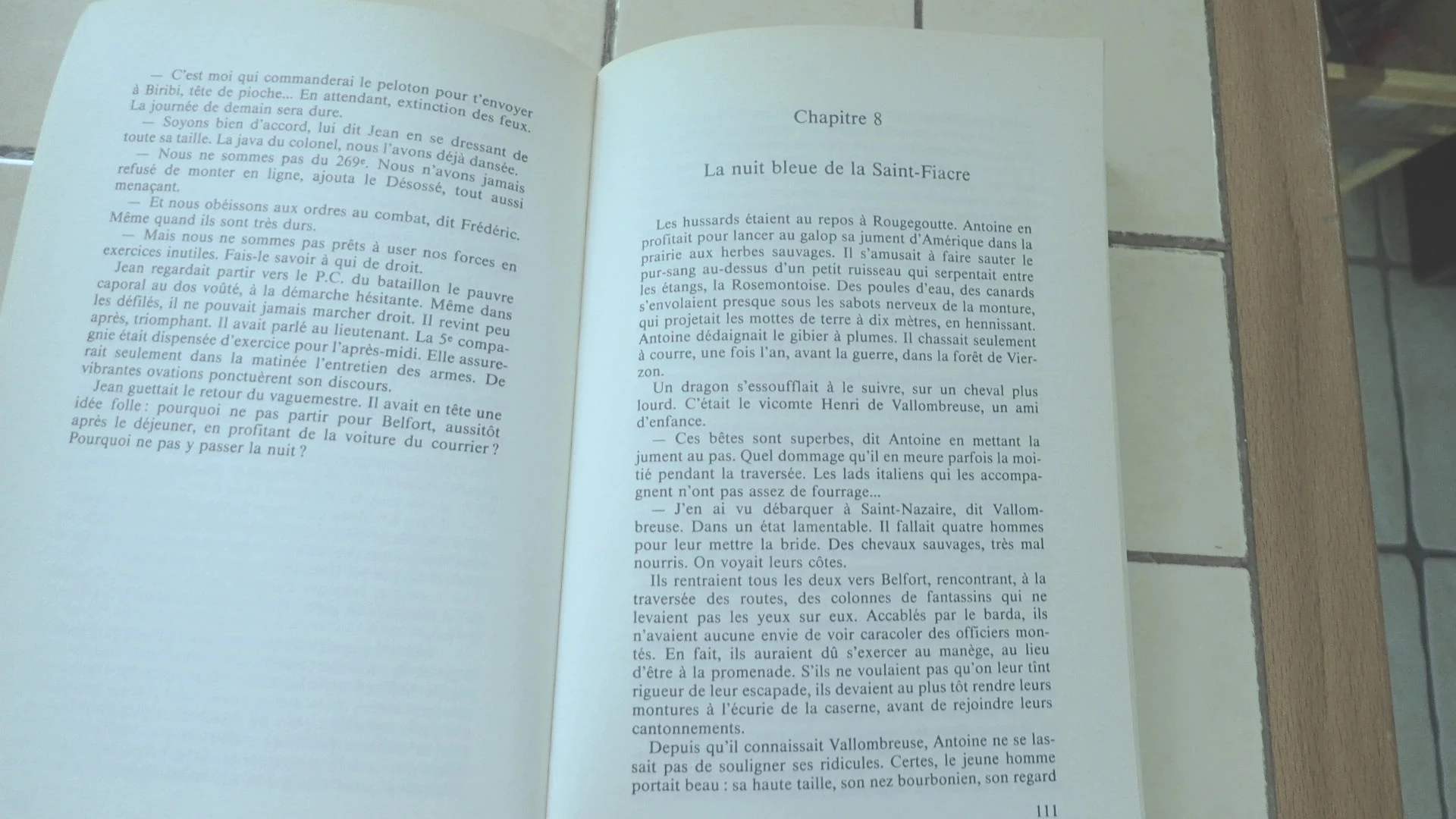 A leoa de Belfort – photo 6